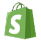 Shopify Website Development Service